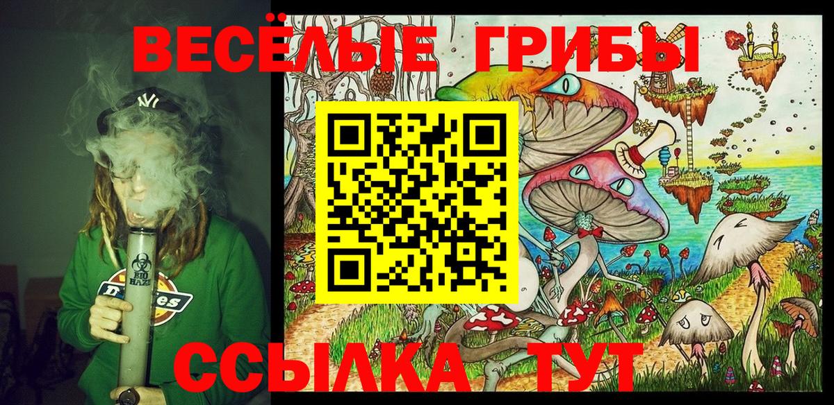 Галлюциногенные грибы прущие грибы Севастополь